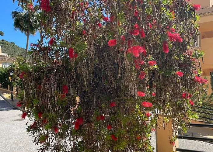 Santa Maria Village, Elviria, Marbella