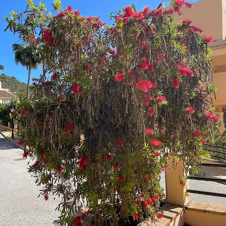 Santa Maria Village, Elviria, Marbella